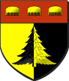 Oyonnax