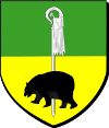 Widensolen