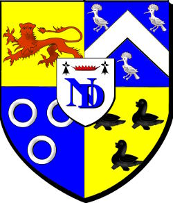 Dirinon