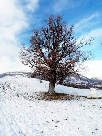 Balade hivernale