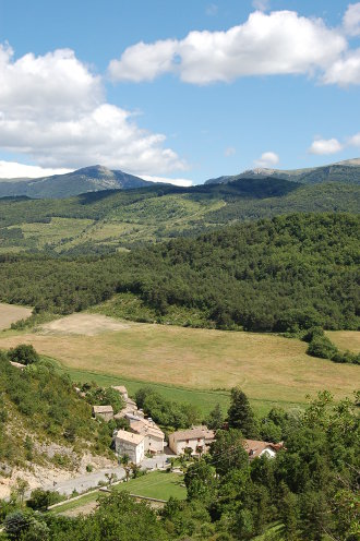 Au bord du chemin...