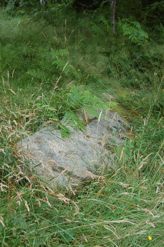 Fougères et alignements ruinés