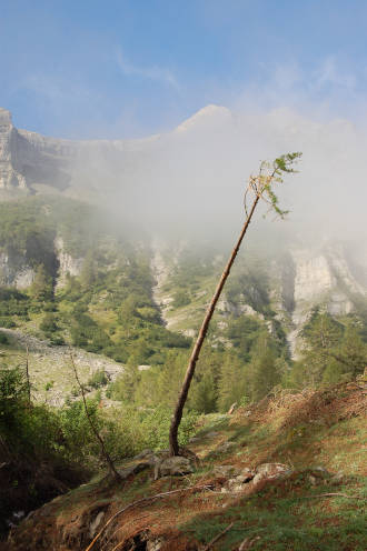 À flanc de montagne...