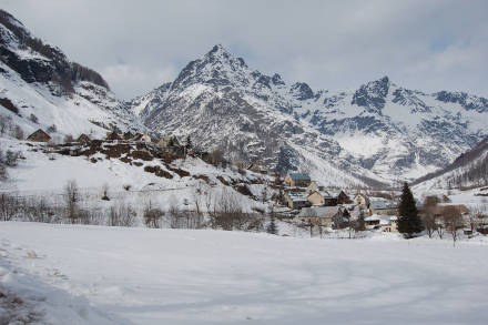 Champoléon hivernal 