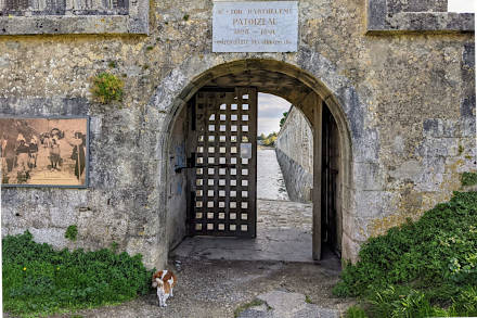 chateau-oleron-5