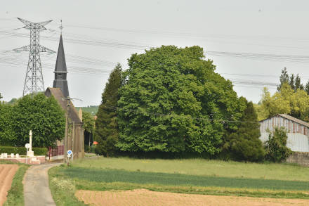 Près du cimetière britannique