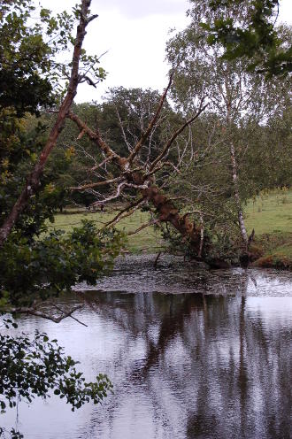 Sur les rives du <strong>Blavet</strong>