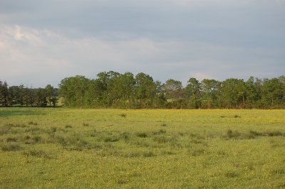 Bocage et balades champêtres à <strong>Kervignac</strong>.