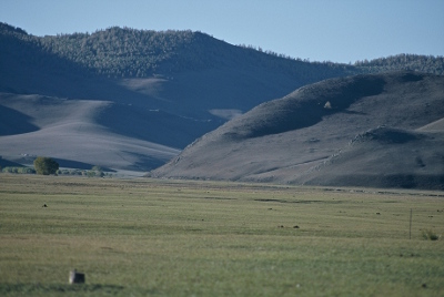 Dans les steppes