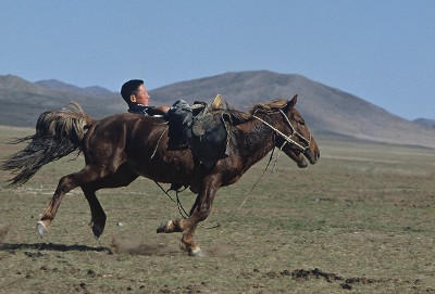 mongolie-39