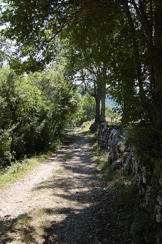 Balade et sentier découverte