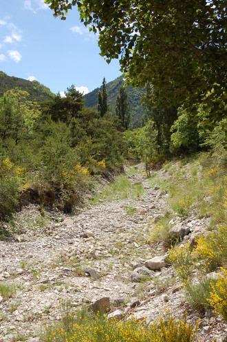 Torrent en été...