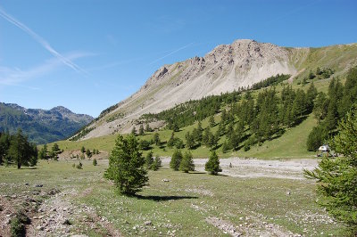 Le paysage rappelle la steppe...