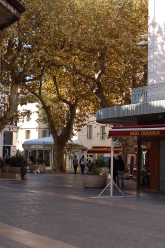 à l'ombre des platanes...