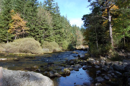 La source vauclusienne des Gillardes.