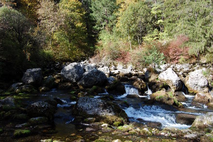 La source vauclusienne des Gillardes.