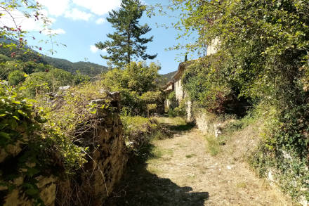 Vieux murs et herbes folles...