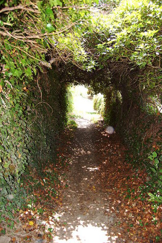 Petit chemin mystérieux...