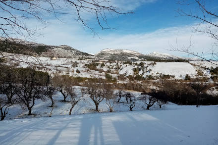 Neiges et paysages