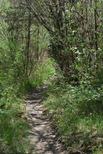 Balade par les chemins...