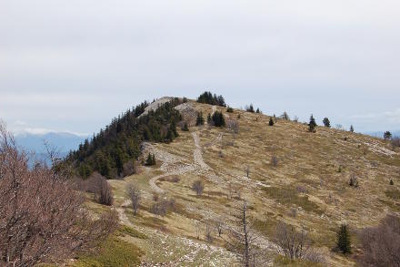 Sur la <strong>Montagne de Lure</strong>