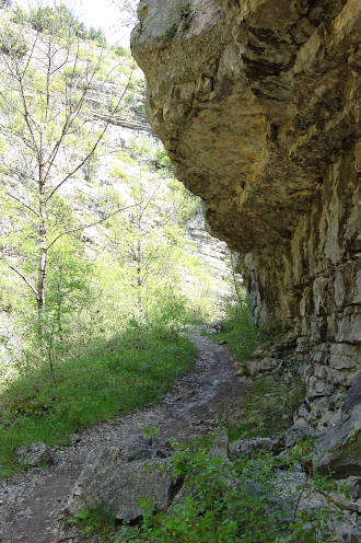 Dans les gorges du Riou