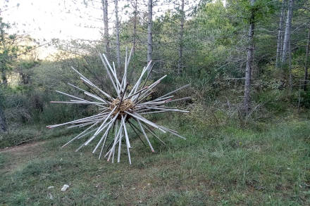 Sur le sentier <i>Land Art</i>