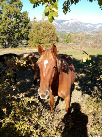 Rencontre au sommet !