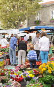 Douarnenez