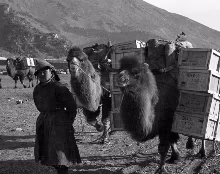 dornod-mongolia-1