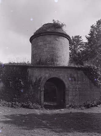 trezilide-1