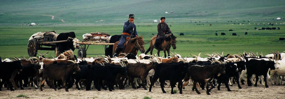 mongolie-4