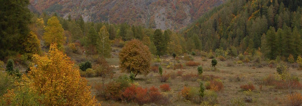 motte-en-champsaur-1